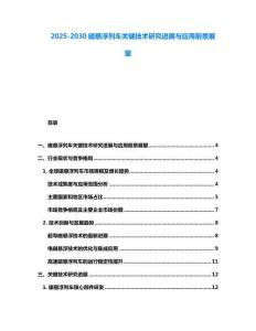 2025-2030磁懸浮列車關(guān)鍵技術(shù)研究進展與應(yīng)用前景展望