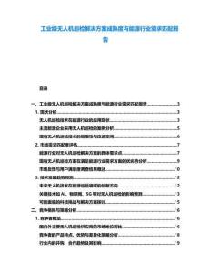 工業(yè)級無人機巡檢解決方案成熟度與能源行業(yè)需求匹配報告