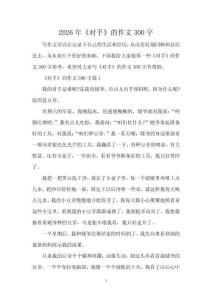 2026年《对手》的作文300字