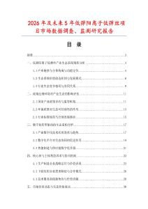 2026年及未來5年低彈陽離子低彈絲項(xiàng)目市場數(shù)據(jù)調(diào)查、監(jiān)測研究報(bào)告