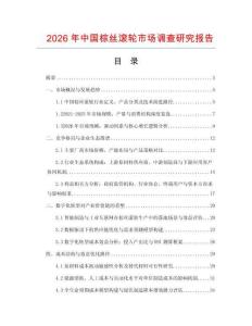 2026年中國棕絲滾輪市場調查研究報告