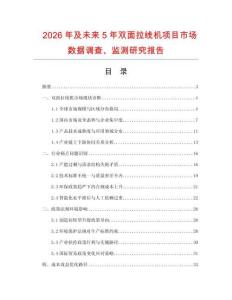 2026年及未來5年雙面拉線機項目市場數據調查、監測研究報告