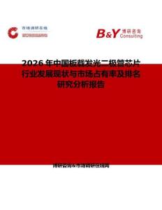 2026年中国板载发光二极管芯片行业发展现状与市场占有率及排名研究分析报告