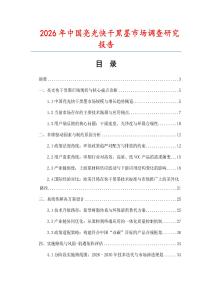 2026年中國(guó)亮光快干黑墨市場(chǎng)調(diào)查研究報(bào)告