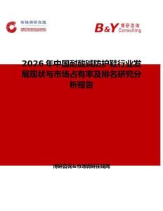 2026年中國耐酸堿防護鞋行業(yè)發(fā)展現(xiàn)狀與市場占有率及排名研究分析報告