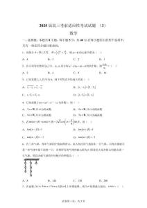 湖南省常德市临澧县第一中学2025届高三考前适应性考试数学试题（3）【可打印＋答案详解】