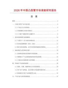 2026年中國凸型管市場調查研究報告