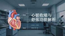 心臟收縮與舒張功能解析