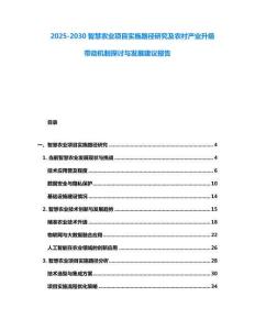 2025-2030智慧農(nóng)業(yè)項目實施路徑研究及農(nóng)村產(chǎn)業(yè)升級帶動機制探討與發(fā)展建議報告
