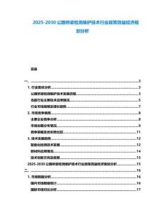 2025-2030公路橋梁檢測維護(hù)技術(shù)行業(yè)政策效益經(jīng)濟(jì)規(guī)劃分析
