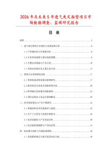 2026年及未來5年透氣爽足鞋墊項目市場數據調查、監測研究報告