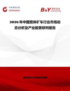 2026年中國寬體礦車行業(yè)市場動態(tài)分析及產(chǎn)業(yè)前景研判報告