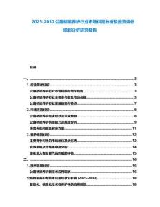 2025-2030公路橋梁養(yǎng)護行業(yè)市場供需分析及投資評估規(guī)劃分析研究報告