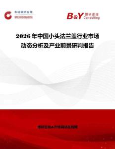 2026年中國小頭法蘭蓋行業(yè)市場動(dòng)態(tài)分析及產(chǎn)業(yè)前景研判報(bào)告
