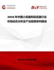 2026年中国小武器和轻武器行业市场动态分析及产业前景研判报告