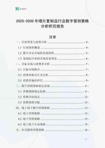2025-2030年唱片復(fù)制品行業(yè)數(shù)字營銷策略分析研究報(bào)告