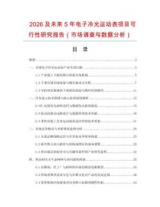 2026及未來5年電子冷光運動表項目可行性研究報告（市場調查與數據分析）
