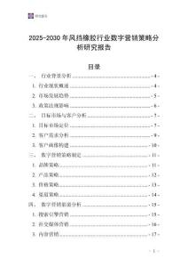 2025-2030年風(fēng)擋橡膠行業(yè)數(shù)字營(yíng)銷策略分析研究報(bào)告