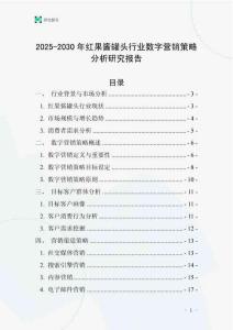 2025-2030年紅果醬罐頭行業(yè)數字營銷策略分析研究報告