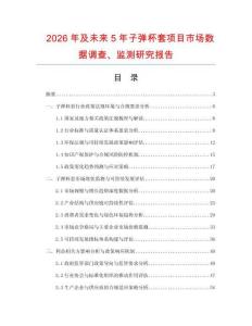 2026年及未來5年子彈杯套項目市場數據調查、監測研究報告