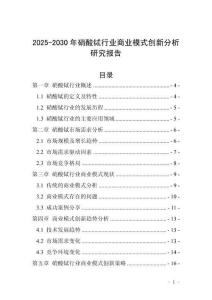 2025-2030年硝酸鋱行業商業模式創新分析研究報告