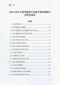 2025-2030年苯甲酸鈉行業數字營銷策略分析研究報告