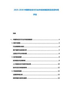 2025-2030中国移动支付行业市场发展趋势及投资布局评估