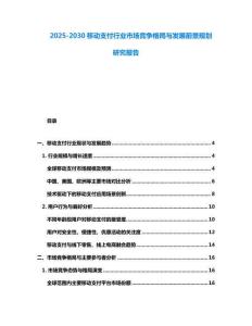 2025-2030移动支付行业市场竞争格局与发展前景规划研究报告