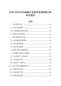 2025-2030年鉤編帽行業(yè)數(shù)字營銷策略分析研究報告