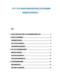2025-2030移动支付场景化需求与第三方支付机构服务供给现状分析投资布局