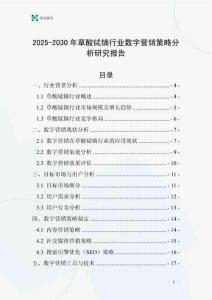 2025-2030年草酸鋱鏑行業數字營銷策略分析研究報告