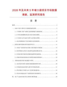 2026年及未来5年堵口袋项目市场数据调查、监测研究报告