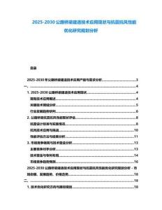 2025-2030公路橋梁建造技術(shù)應(yīng)用現(xiàn)狀與抗震抗風(fēng)性能優(yōu)化研究規(guī)劃分析