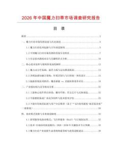 2026年中國(guó)魔力掃帚市場(chǎng)調(diào)查研究報(bào)告