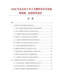 2026年及未來5年工藝腰帶項目市場數據調查、監測研究報告
