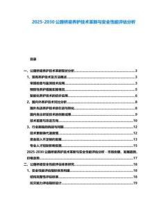 2025-2030公路橋梁養(yǎng)護技術(shù)革新與安全性能評估分析