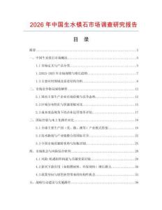 2026年中國生水鎂石市場調查研究報告