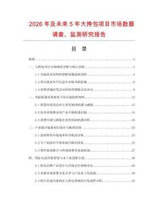 2026年及未來5年大挎包項目市場數據調查、監測研究報告