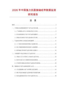 2026年中國強力抗裂接縫紙帶數據監測研究報告