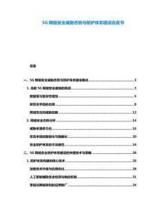 5G网络安全威胁态势与防护体系建设白皮书