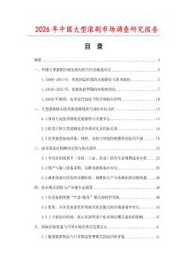 2026年中國大型滾刷市場調(diào)查研究報告