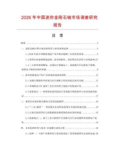 2026年中國迷你金剛石銼市場調查研究報告