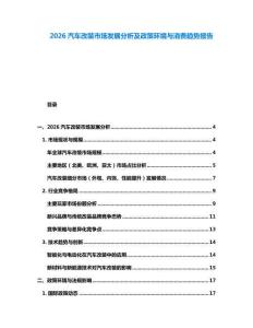 2026汽車改裝市場發展分析及政策環境與消費趨勢報告