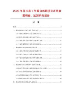 2026年及未來5年煅自然銅項目市場數(shù)據(jù)調(diào)查、監(jiān)測研究報告