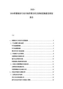 2025-2030智慧城市行業市場供需分析及基礎設施建設規劃報告
