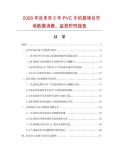 2026年及未來5年PVC手機袋項目市場數據調查、監測研究報告