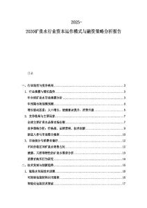 2025-2030礦泉水行業(yè)資本運(yùn)作模式與融資策略分析報告