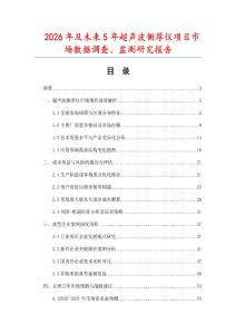 2026年及未來5年超聲波側厚儀項目市場數據調查、監測研究報告