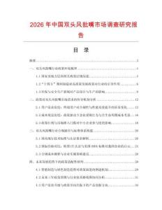 2026年中國(guó)雙頭風(fēng)批嘴市場(chǎng)調(diào)查研究報(bào)告