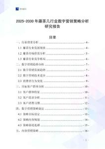 2025-2030年藤茶幾行業(yè)數(shù)字營銷策略分析研究報告